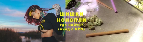 индика Бронницы